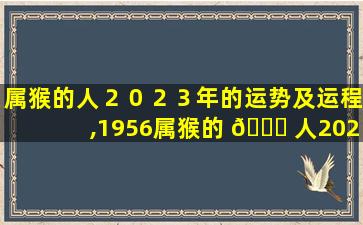 属猴的人２０２３年的运势及运程,1956属猴的 🐒 人2023年的运势及运 🦉 程